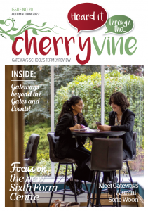 Image of the cover of Cherryvine Autumn 22 issue